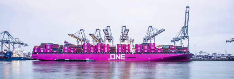 uploads/www.viputrans.com//images/17659445303498.png image.png