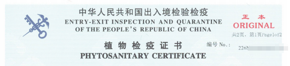 uploads/www.viputrans.com//images/17835654497333.png image.png