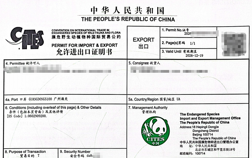 uploads/www.viputrans.com//images/17835655174138.png image.png